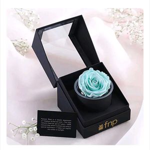 FNP Preserved Rose