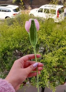 Handmade Crochet Tulip Pink