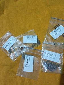 Plant Seeds