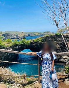 Blue &amp; White Printed Dress