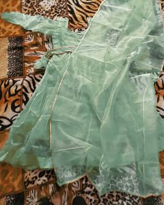 Lovely Mint Green Kurta Set
