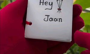 Cutegift