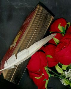 Fiction Novel