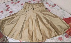 Elegant Ethnic dress with golden  skirt