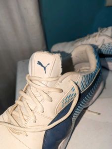 PUMA NON MARKING SHOES ORIGINALS.