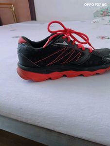 Sketchers Shoes