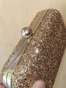 Gorgeous Metallic Clutch