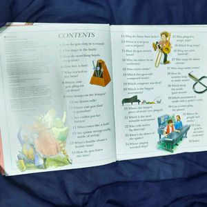Flutes Have Holes/ I Wonder Why Children Book 📚