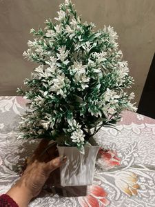 Artificial Plant in White Pot