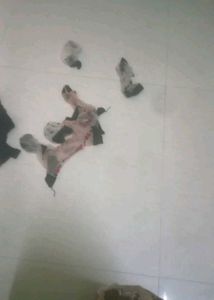 nylon socks