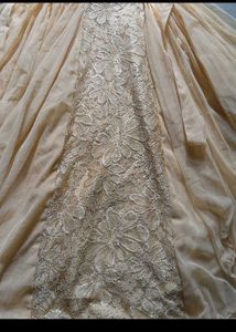 Very Beautiful And Elegant Pretty Golden Gown