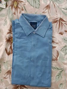 Turtle Sky Blue Shirt