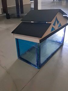 An Aquarium