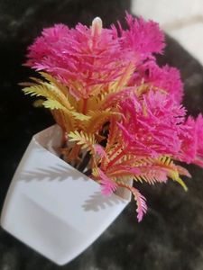 Decore