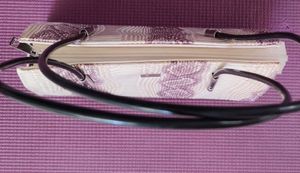 Vintage G Snakeskin Print Bag