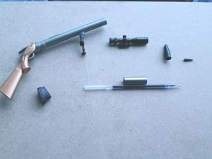 Gun pen