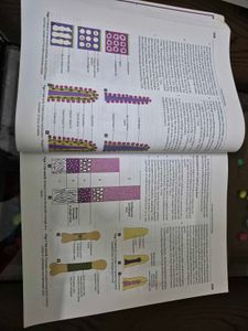 Human Embryology Book