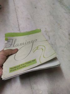 FLAMINGO CLASS 12TH (Core Course)