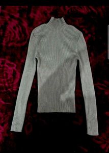 ZARA Turtleneck Top