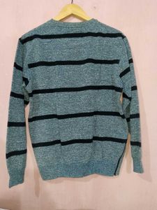 Stylish crewneck sweatshirt for mens