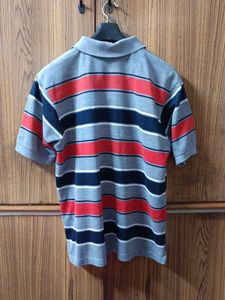 Striped Polo Shirt