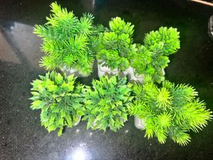 Miniature Artificial Plants (Set of 3)