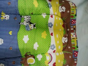 Baby Bed With Mosquito Net