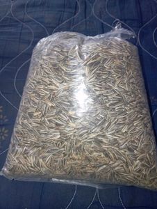 Sunflower Seeds 🌻🌻🌻🌻🌻