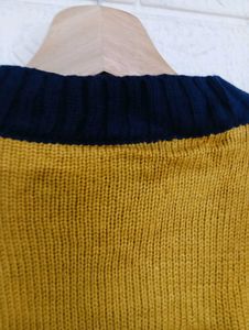 Stylish Color Block Sweater