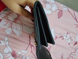 Baggit Wallet Green