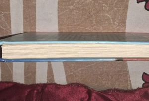 The Adventure Of Huckleberry Finn