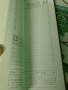 Left Over Last Year Diaries