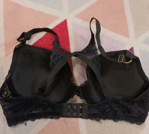 Sapph Padded Bra..34D