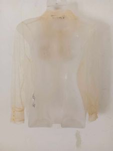zara sheer organza shirt