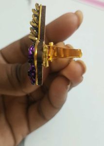 Butterfly Hair Tie and Clip