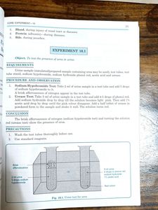 Comprehensive Biology Lab Manual For Class 11