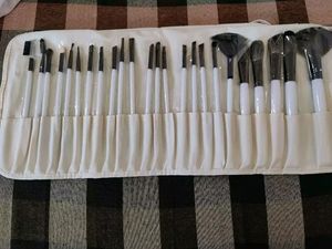 brush sets &amp; kits 24 count (pack of 1)
