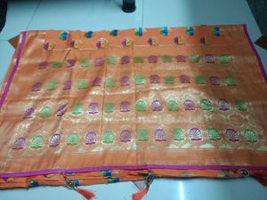 Orange Saree with Blouse
