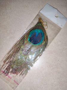 Peacock Feather Earrings