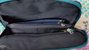 Baggit Handbag