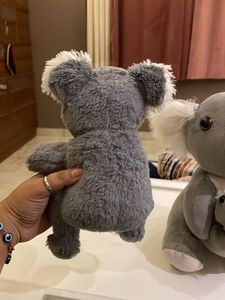 Koala Plush Set