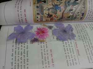 Flower Book Mark 💐