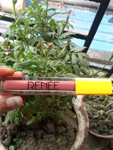 Renee Everyday Matte Lipstick