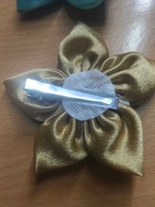 Stylish 6 Hair Clips 99 Rupees