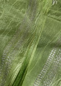 Parrot Green Saree