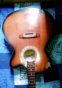 Brand New Signature Guitar