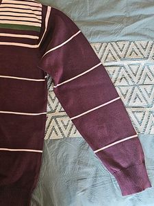 Men Purple Sweater