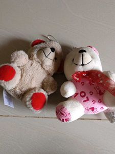 Cute Teddy Bear Duo