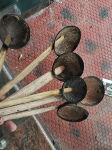 Coconut Shell Spoons - Set of 6