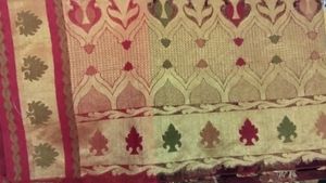 Organza Multicolored Saree